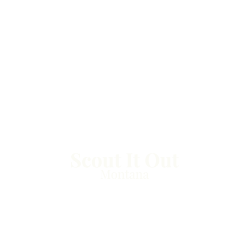 Scout It Out Montana